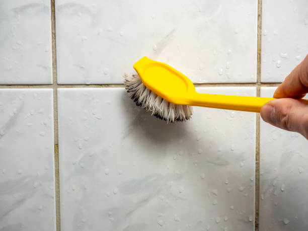 Best Fast Mold Removal  in Ellport, PA