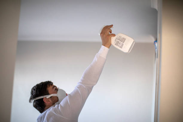 Best Black Mold Removal  in Ellport, PA