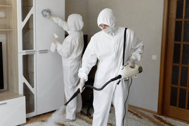 Mold Removal and Inspection in Ellport, PA