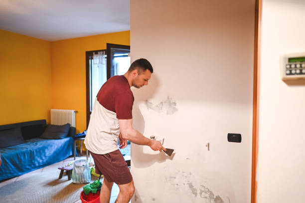 Best Mold Removal Company Near Me  in Ellport, PA
